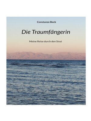 cover image of Die Traumfängerin
